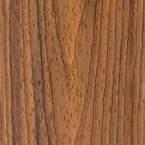 close up of TREX Transcend Havana Gold