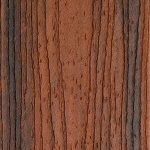 close up look at TREX Transcend Spiced Rum